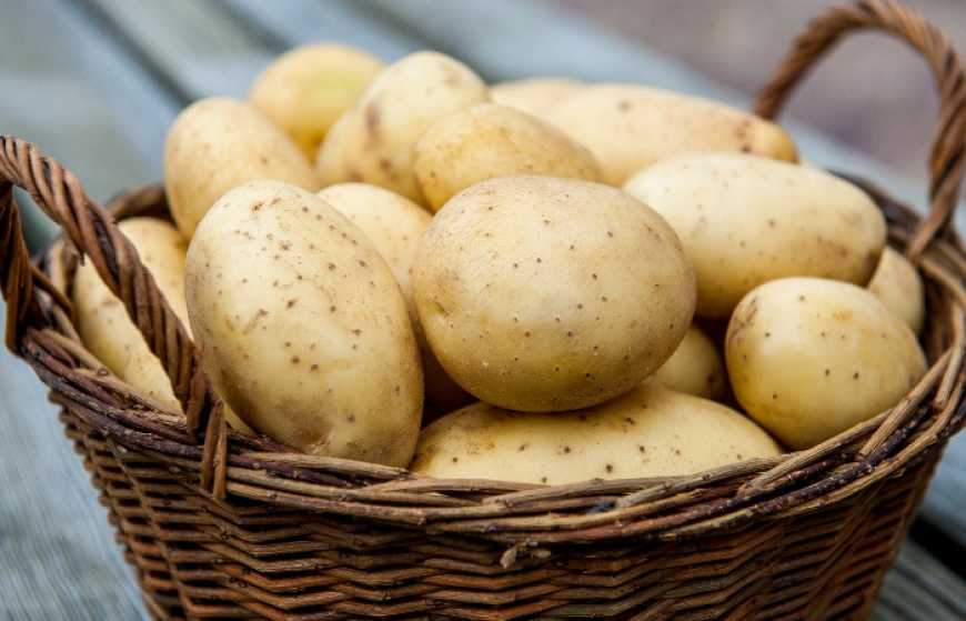 П’ять дуже практичних порад, як із одного відра картоплі можна отримати цілих десять. Збережіть!