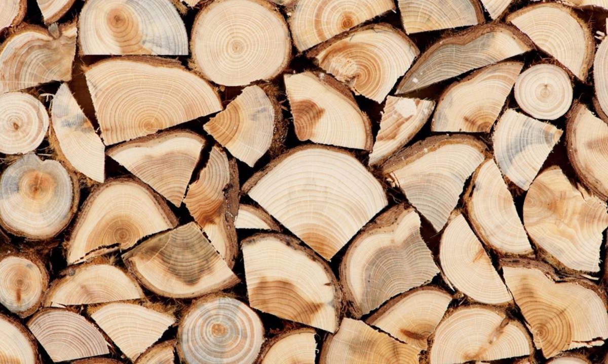 Не купляйте дрова, якщо  не засвоїли цю інформацію. Як розводять наївних господарів, продаючи порожнечу