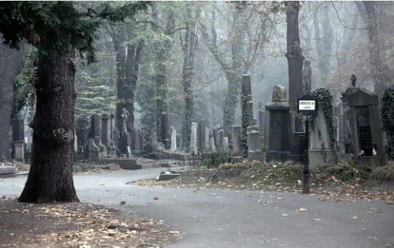Чому на кладовищі варто поводитися обережно